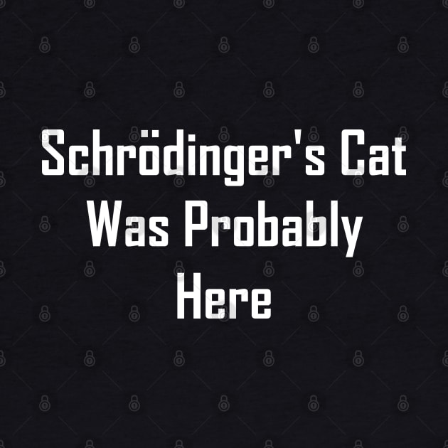 Schrodinger's Cat Was Probably Here by GeekNirvana